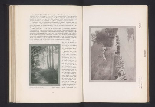 Wooded landscape