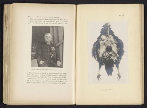 Photographic reproduction of a portrait of an unknown man, photographed underwater