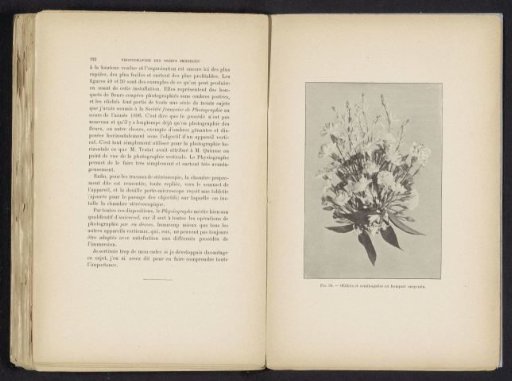 Bouquet of flowers