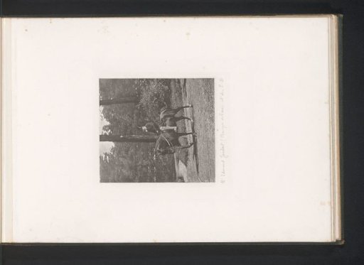 Man on Horseback