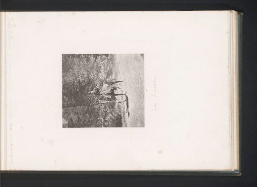 Lady on Horseback