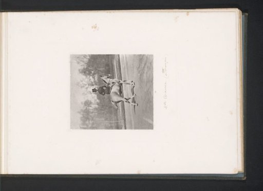 Amazon on horseback seen from behind