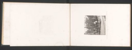 Four men on horseback