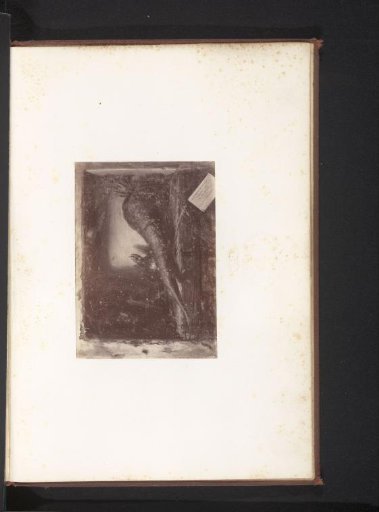 Photographic reproduction of A Root with Patient Type by Antoine Wiertz
