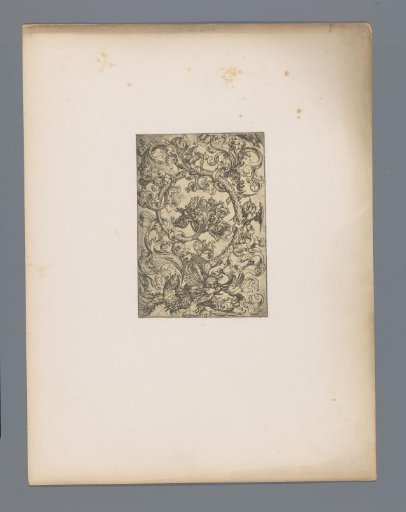 Reproduction of a print of vine tendrils with birds by Martin Schongauer