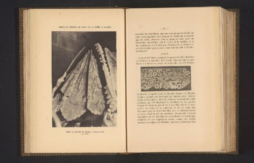 Lace shawl