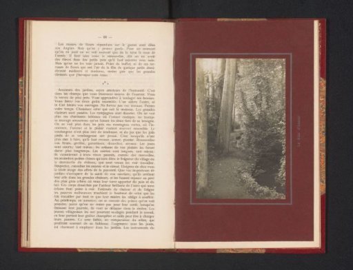 View of a forest path in the garden of the Château de Beloeil