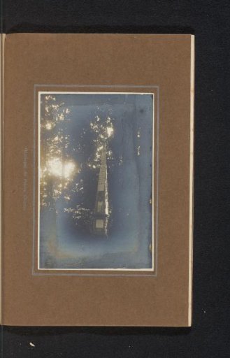 Obelisk of Prince Charles among trees
