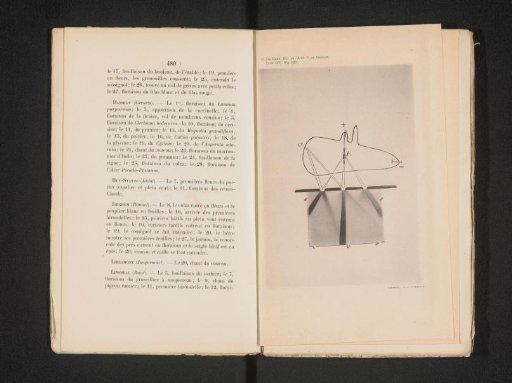 Example of the refraction of light rays