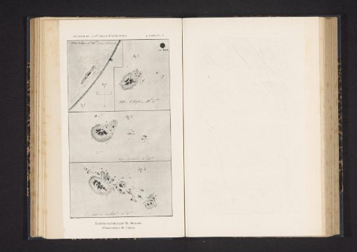 Photograph of Sunspots by the Observatory of Catania