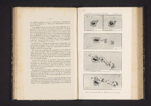 Five Photographs of Sunspots by the Observatory of Catania