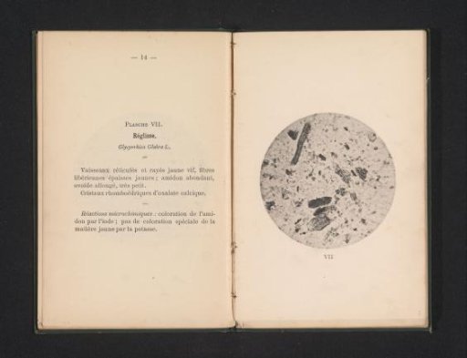 Microscopic representation of licorice