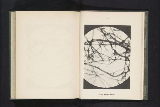 Micrograph of fibers in paper produced in 1472