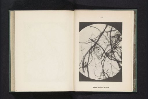 Micrograph of fibers in paper produced in 1556