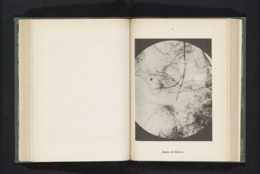 Micrograph of the fibres in hemp paper