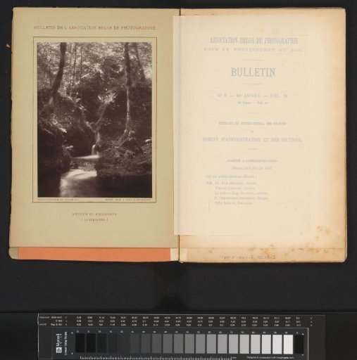 Boy in a forest by a stream