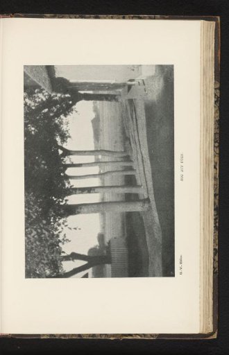 View of a Row of Trees