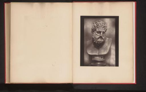 Bust of Hercules