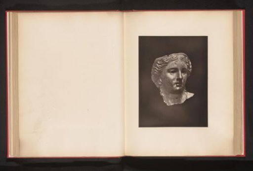 Head of Aphrodite
