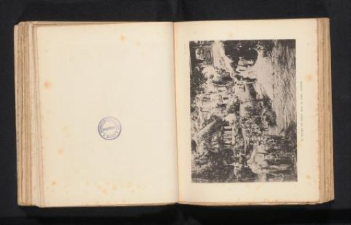 View of various images including an elephant and persons