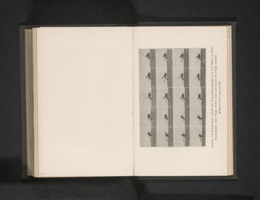 Twenty Examples of the Movement of a Fly