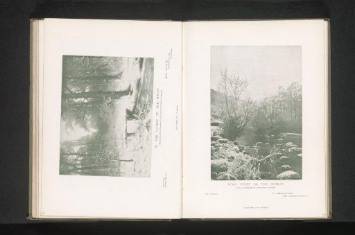 Reproduction of A January Evening in the Hague Woods by Louis Apol