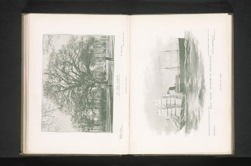 Forest view with two men