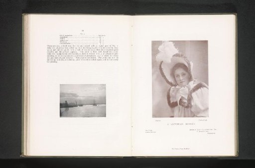 Portrait of an unknown girl with a Victorian bonnet