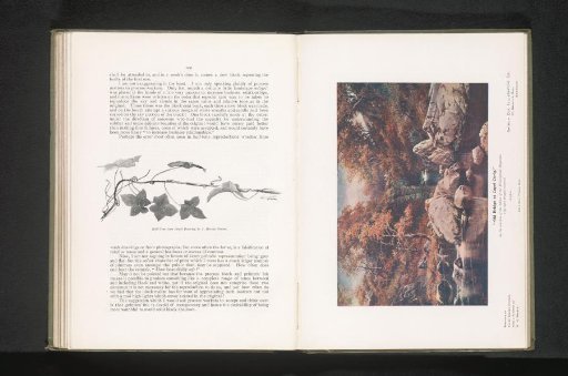 Reproduction of a painted landscape with a stone bridge at Capel Curig by William Henry Mander