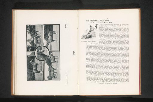 Photomontage of various horses