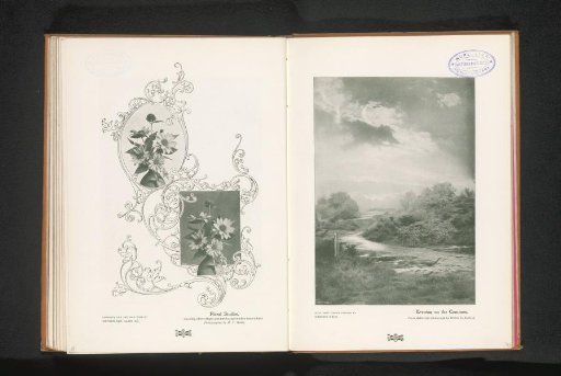 Photomontage of two flower still lifes