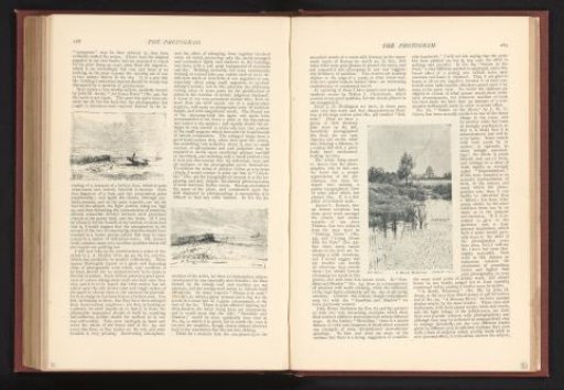 Watercourse with reed growth