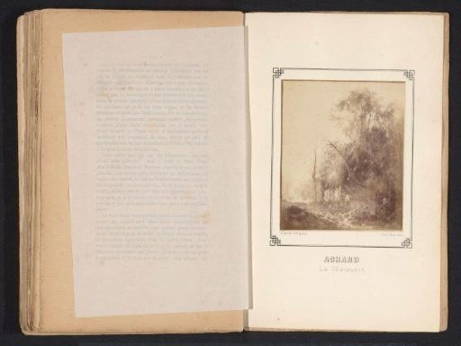 Photographic reproduction of a painting depicting a landscape with a dead tree