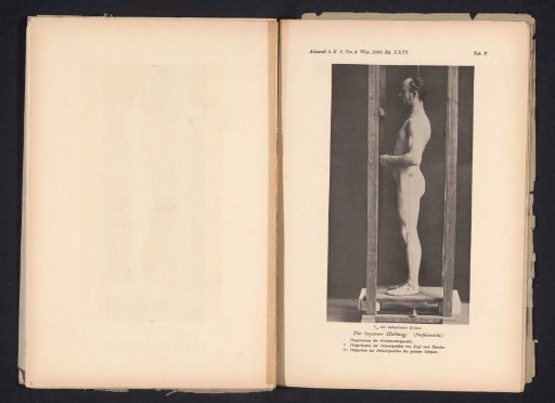 Unknown Nude Man, Profile, in a Wooden Stand