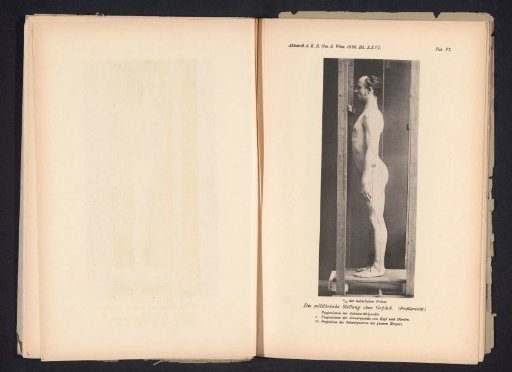 Unknown Nude Man, Profile, in a Wooden Stand