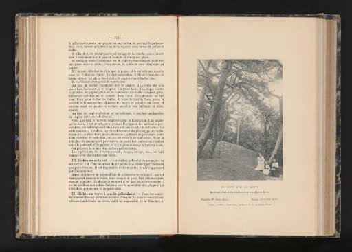 Three women in the forest of Royan, France