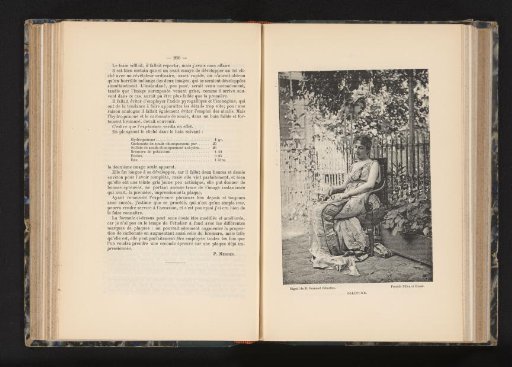Portrait of an unknown woman seated in a garden