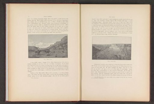 View of a canyon at Mancos with horses