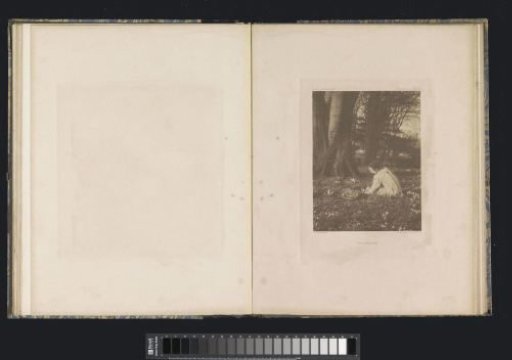 Seated child among crocuses