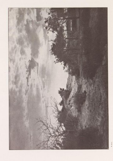Dune Landscape