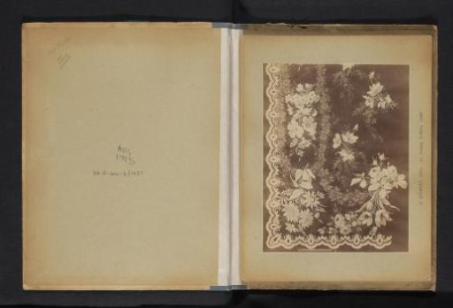 Photographic Reproduction of a Decorative Floral Pattern