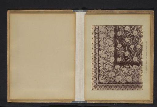 Photographic Reproduction of a Decorative Floral Pattern