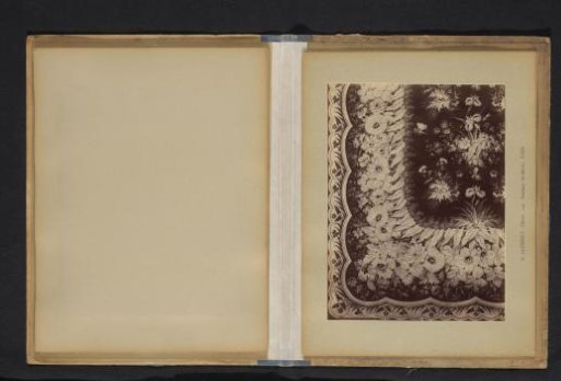 Photographic Reproduction of a Decorative Pattern with Flowers and Leaves