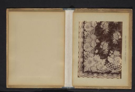 Photographic reproduction of a decorative floral pattern