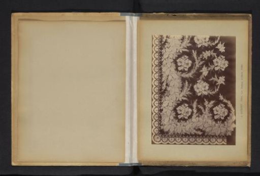 Photographic Reproduction of a Decorative Floral Pattern