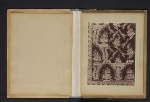 Photographic Reproduction of a Decorative Floral Pattern