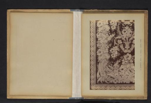 Photographic Reproduction of a Decorative Floral Pattern