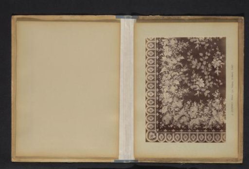 Photographic Reproduction of a Decorative Pattern with Flowers and Plants