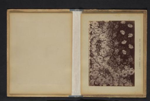 Photographic Reproduction of a Decorative Floral Pattern