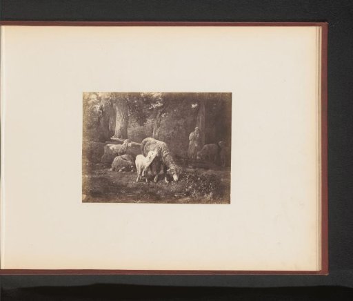 Photographic reproduction of Moutons dans le bois by Ch. Jacques